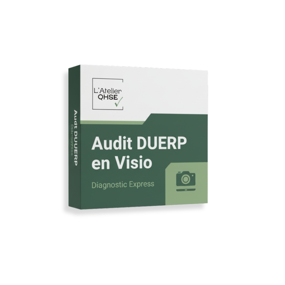 Audit DUERP en Visio – Diagnostic Express