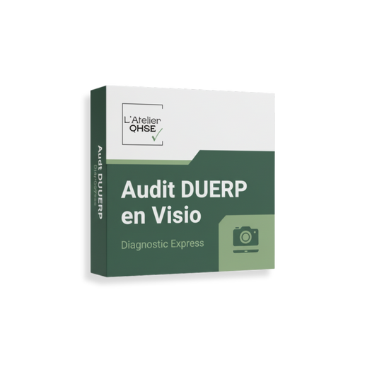 Audit DUERP en Visio – Diagnostic Express